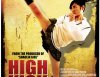 High Kick Girl poster