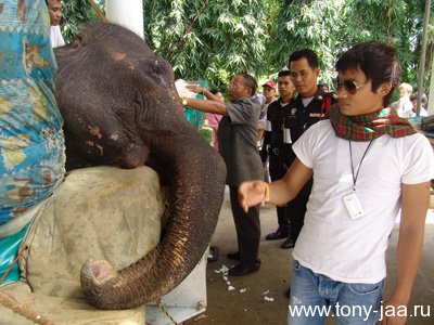Тони Джаа в госпитале для слонов